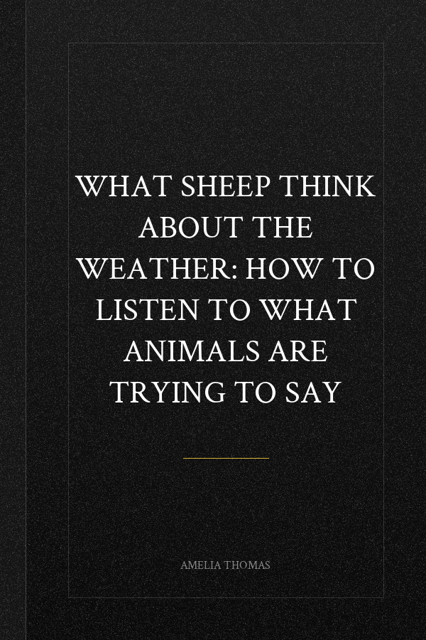 What Sheep Think About the Weather: How to Listen to What Animals Are Trying to Say