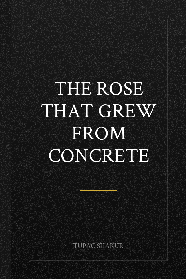 The Rose That Grew From Concrete